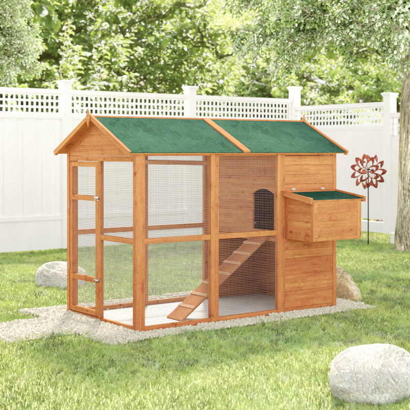Archie & Oscar Auggie Deluxe Large Backyard Chicken Coop with Outdoor